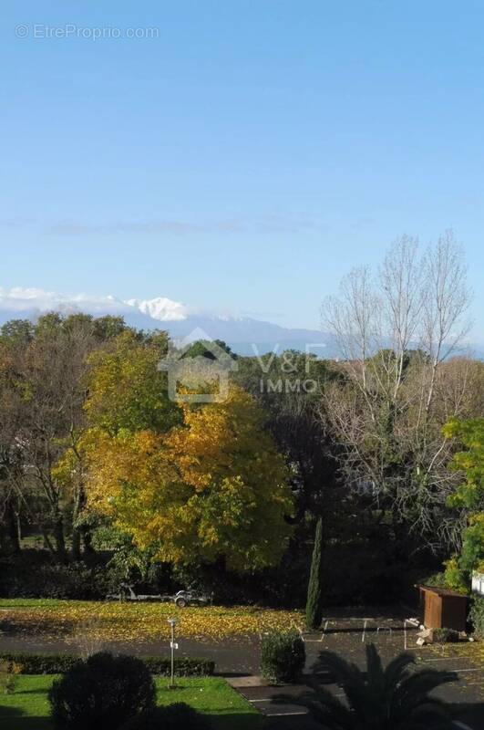 Appartement à ARGELES-SUR-MER