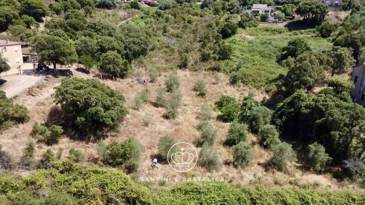 Terrain constructible à Cuttoli-Corticchiato – Vue dégagée sur le Mont Gozzi - photo 3