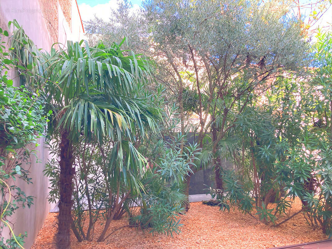 Maison à MONTELIMAR