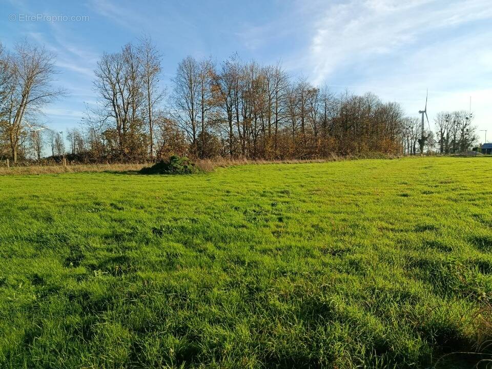 Terrain à SMERMESNIL