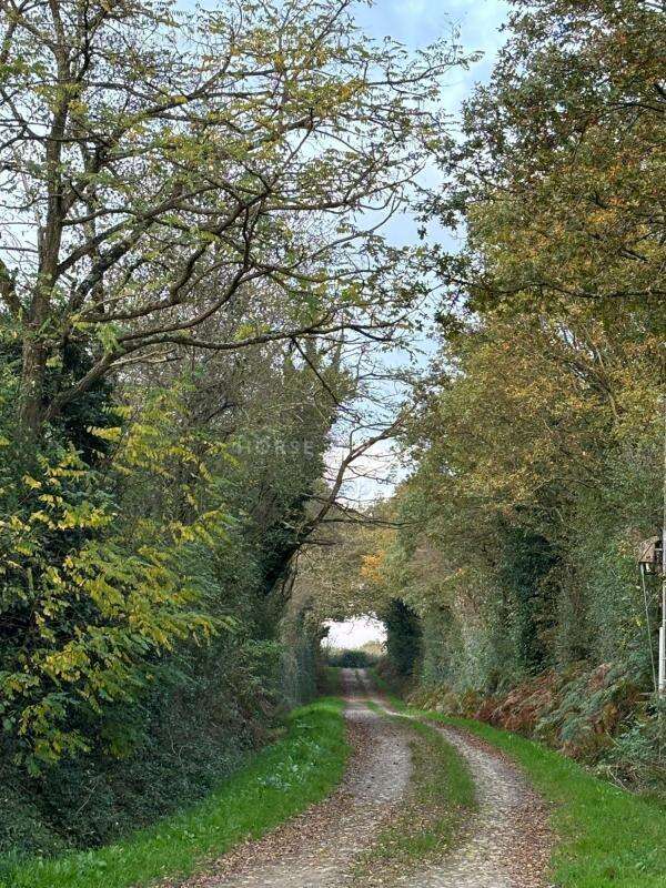 Maison à LA ROCHE-SUR-YON