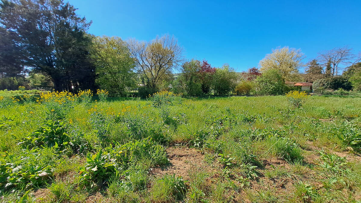 Terrain à MALAY-LE-PETIT