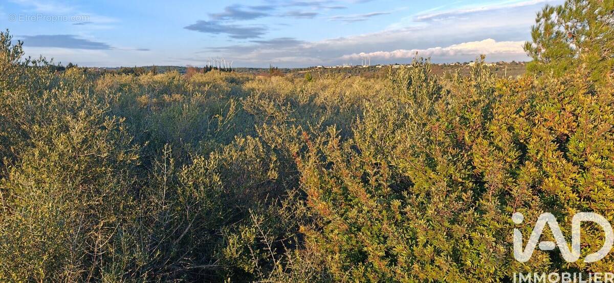 Photo 1 - Terrain à LA PALME