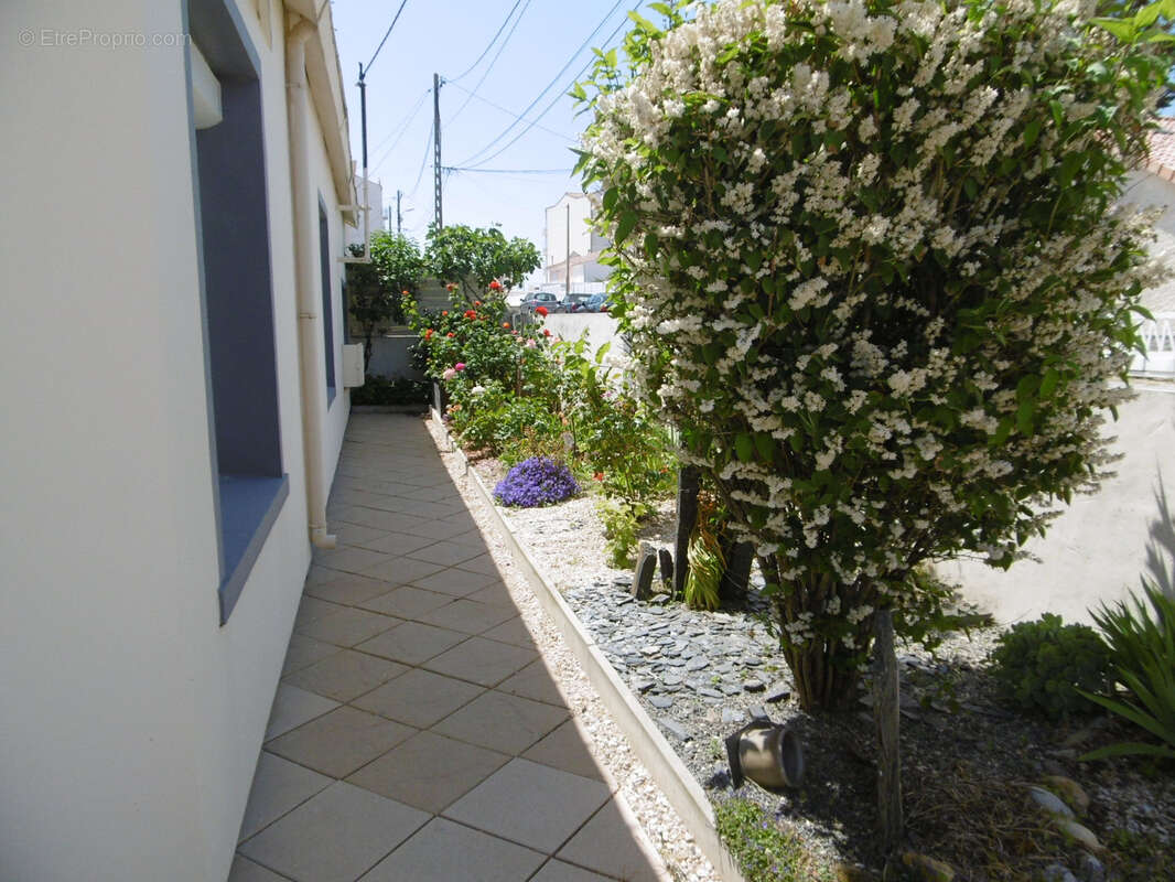 Maison à SAINT-HILAIRE-DE-RIEZ