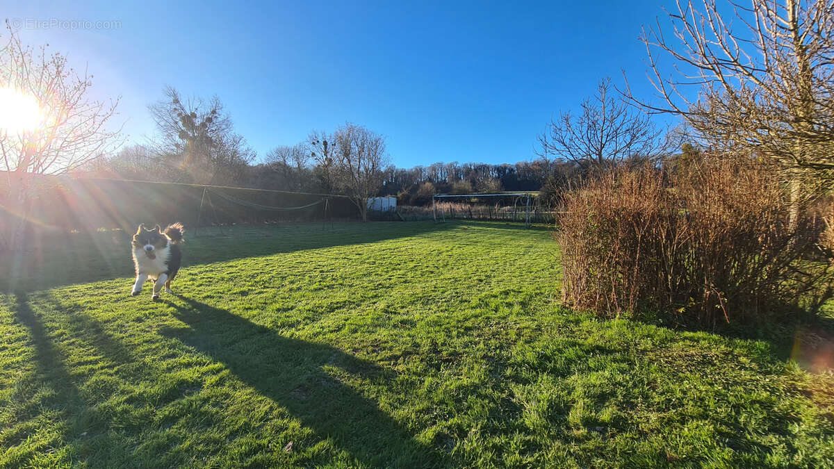 Maison à MONTCAVREL