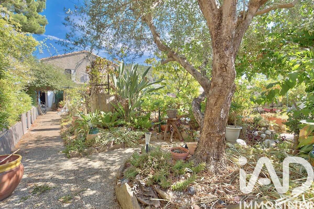 Photo 6 - Maison à CEYRESTE