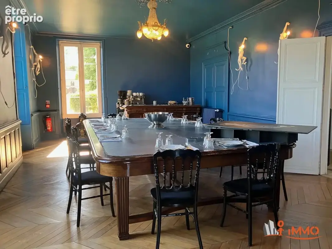 Magnifique château rénové, terrain 9100m2 - photo 8