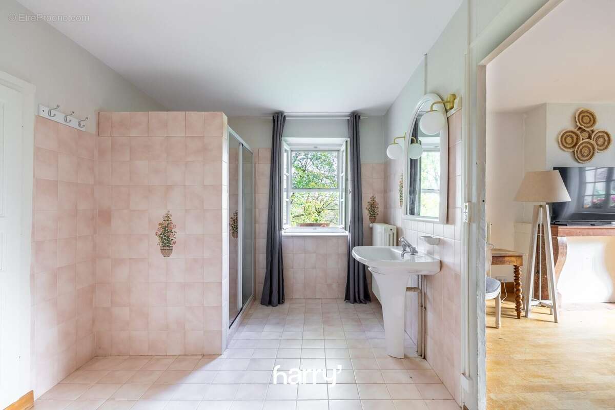 Maison 410 m² à Chevigny  - photo 6