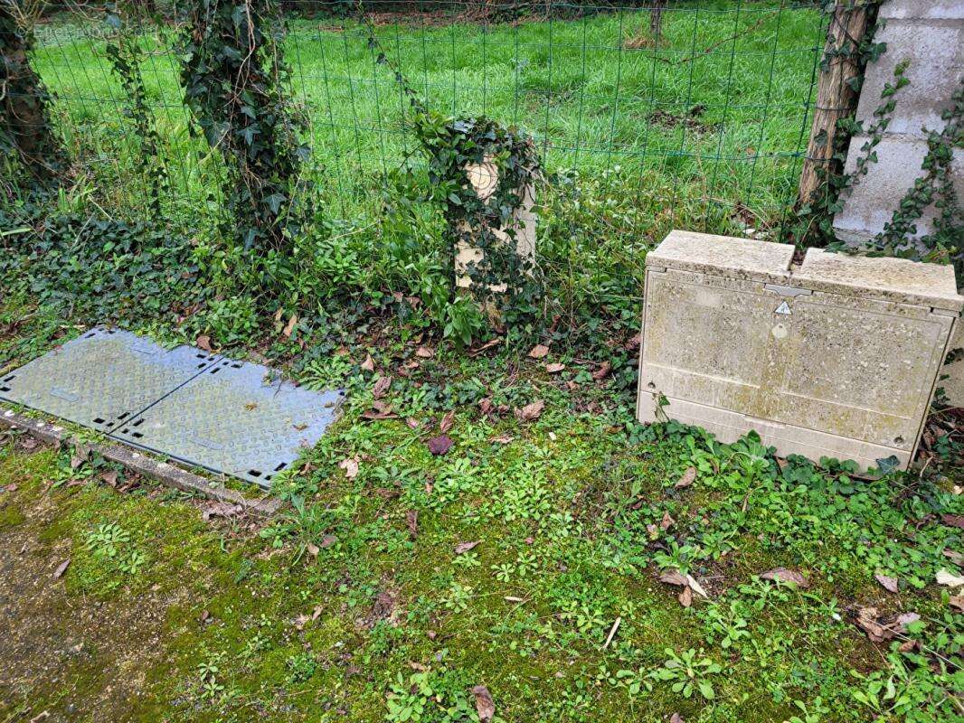 Terrain à SAINT-REMY