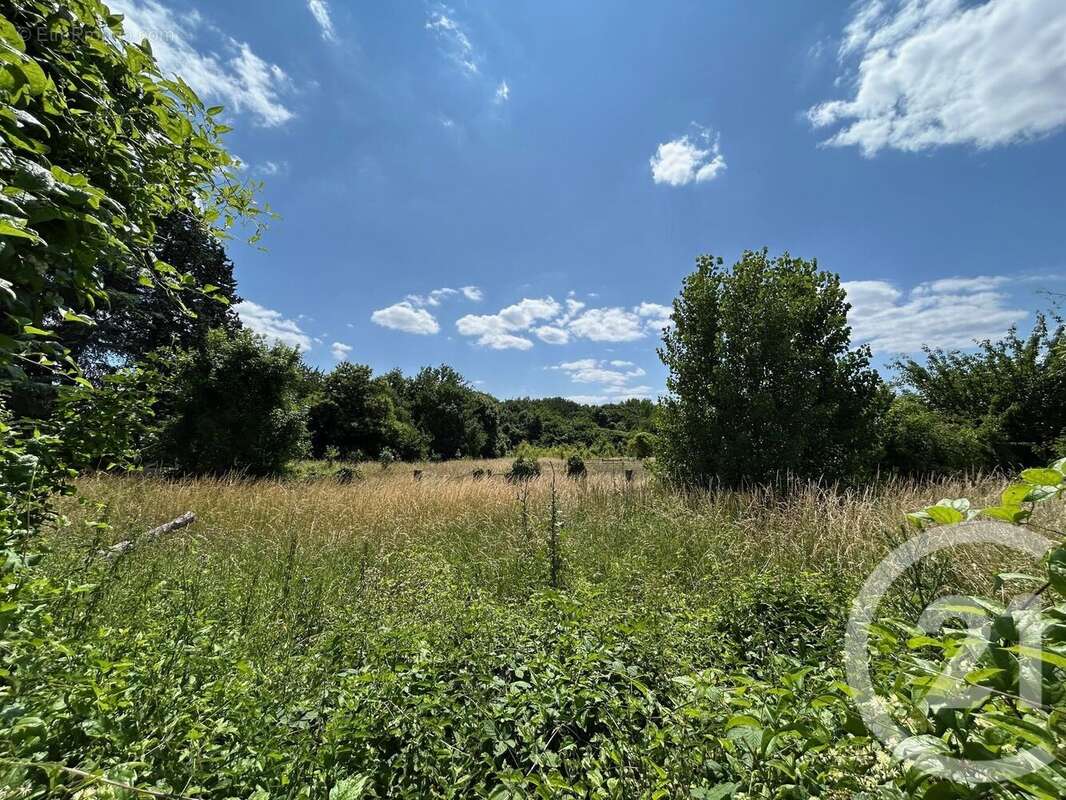 Terrain à SIVRY-COURTRY