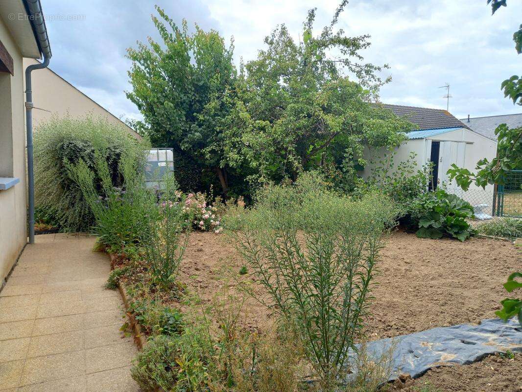 Maison plain-pied - 95m²-  AMBRIERES LES VALLEES (53) - photo 12