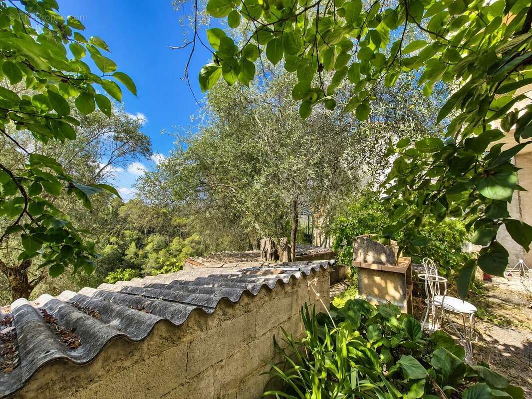 Tourrette-levens – maison à rénover dans un écrin de verdure - photo 16