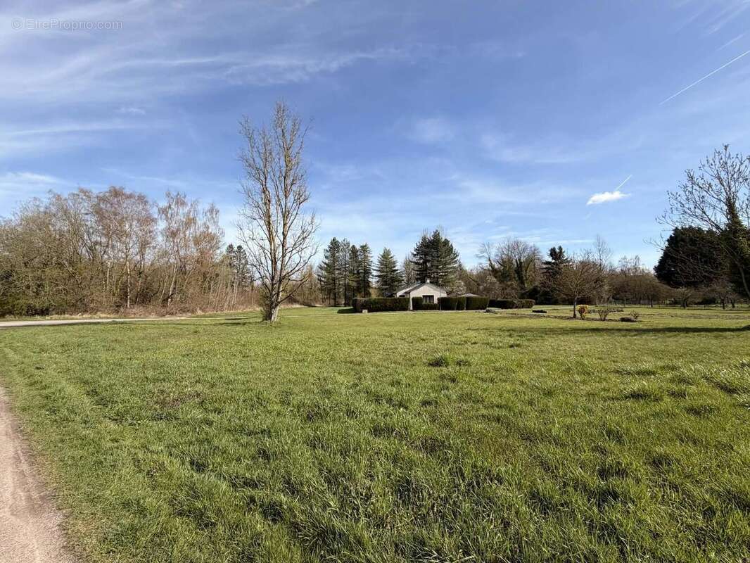 Terrain à bâtir d'une surface de 11 200 m² - Terrain à BRUYERES-ET-MONTBERAULT
