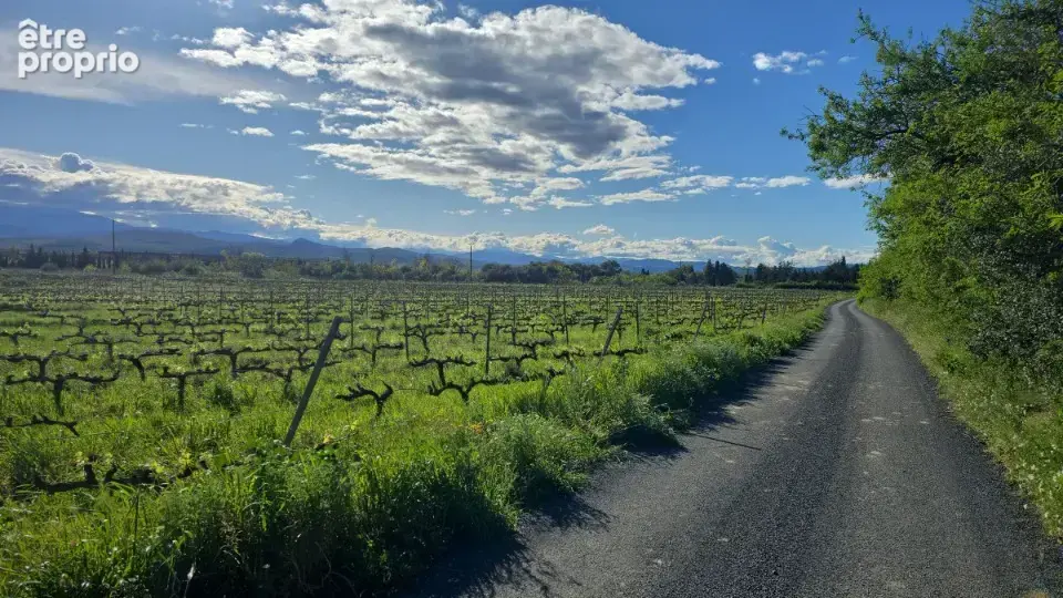 Photo Terrain à Ponteilla au prix de 128 000€