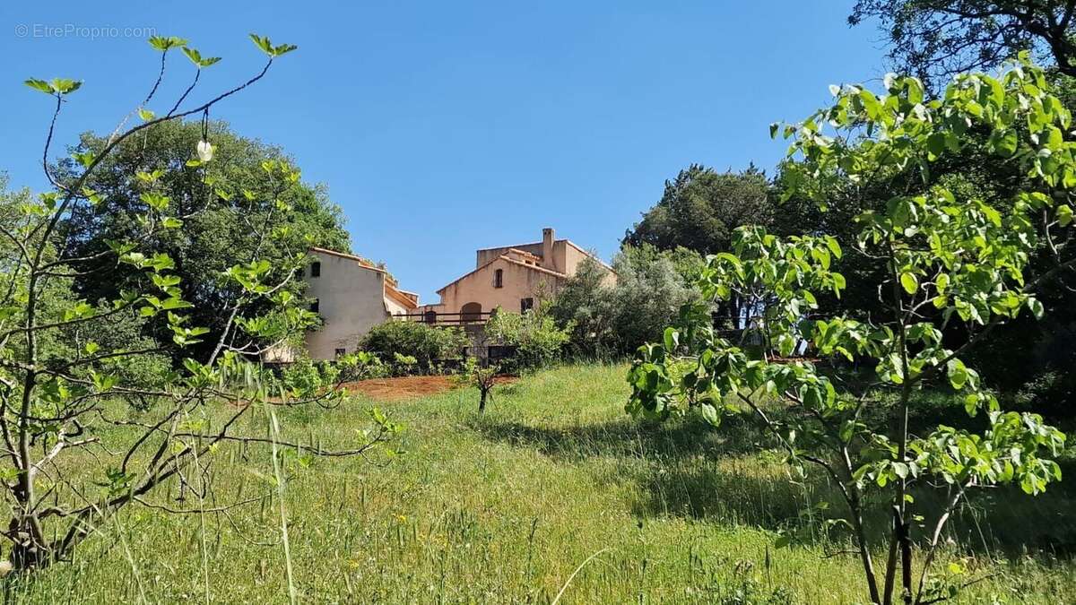 Photo 4 - Maison à PEZENAS