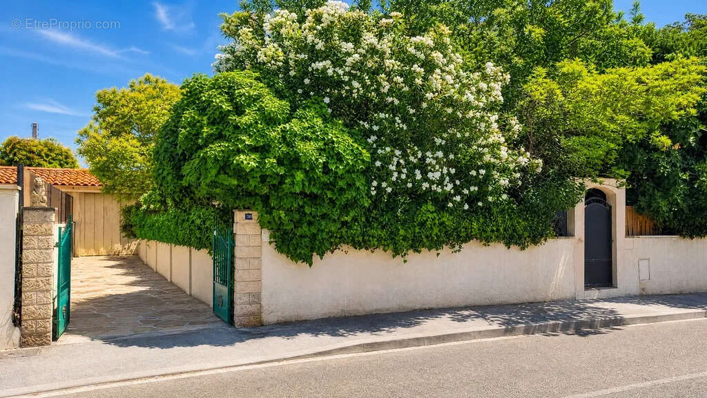 Maison à MONTPELLIER