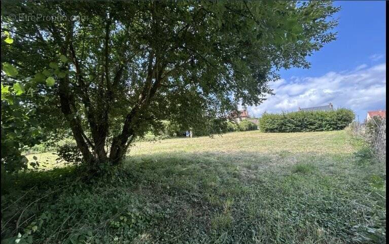 Terrain à CELLES-SUR-AISNE