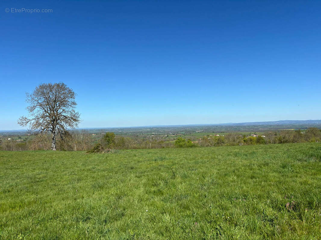 Maison à SAINT-MARTIN-D'ESTREAUX