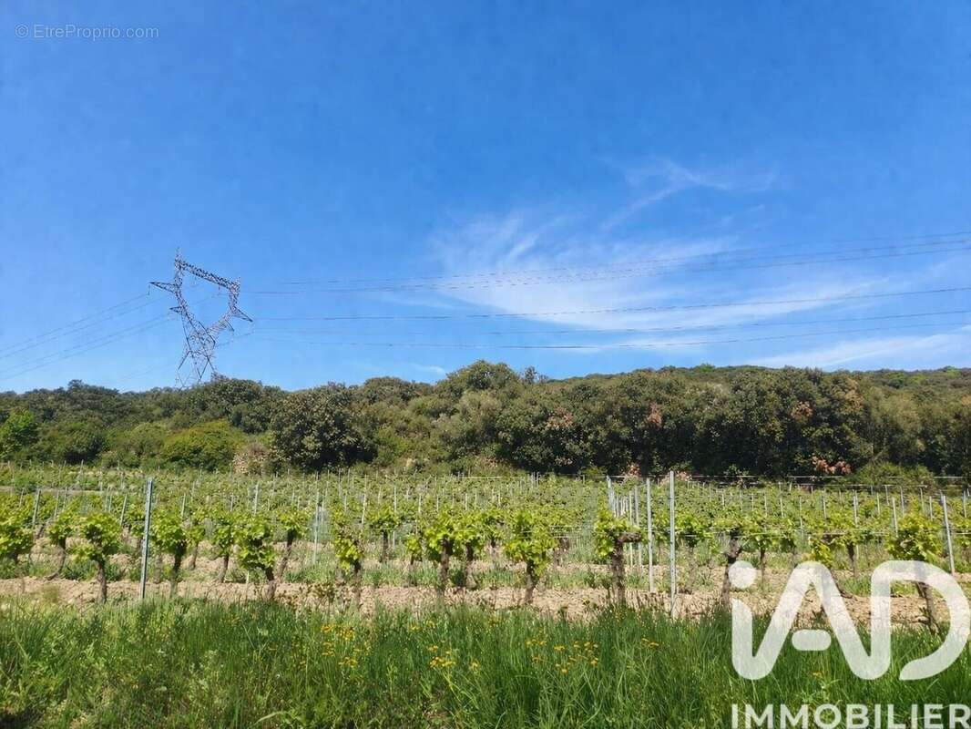 Photo 5 - Terrain à NEFFIES