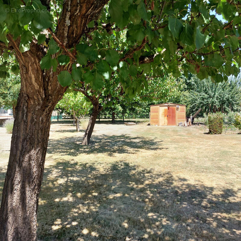 Maison à vendre 5 pièces CAMPSAS (82)avec garage attenant et double garage indépendant, piscine, terrasse couverte, puits, sur 2 - photo 36
