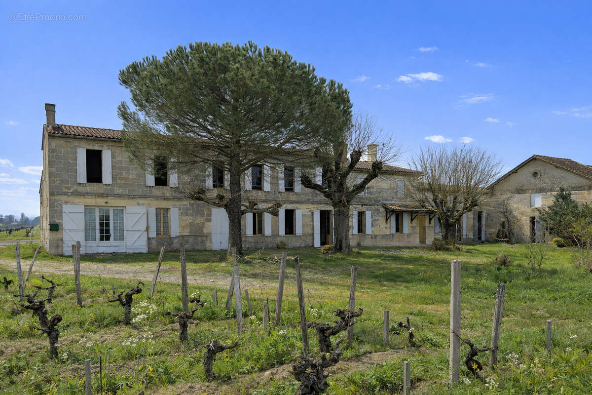 Terrain à SAINT-EMILION