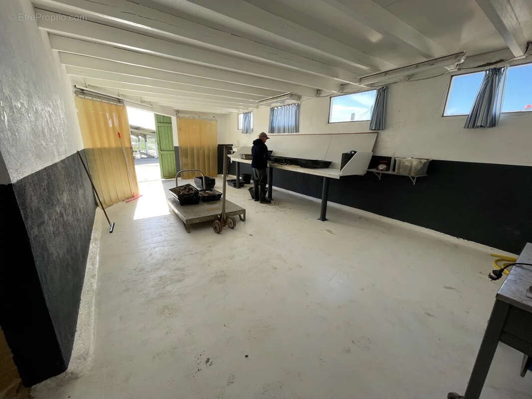 Maison à SAINT-JUST-LUZAC