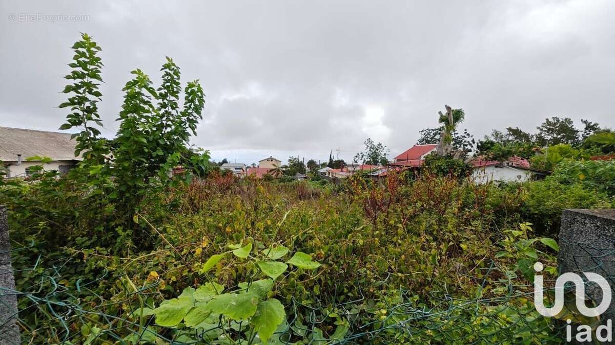 Photo 4 - Terrain à LE TAMPON