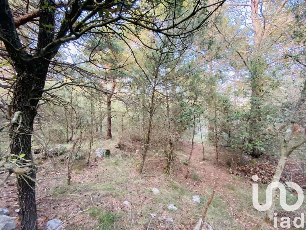 Photo 4 - Terrain à CABRIS