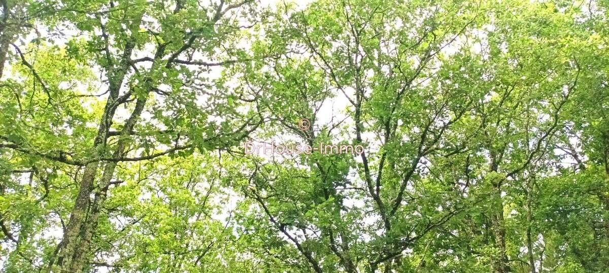 Terrain à MONTVALENT