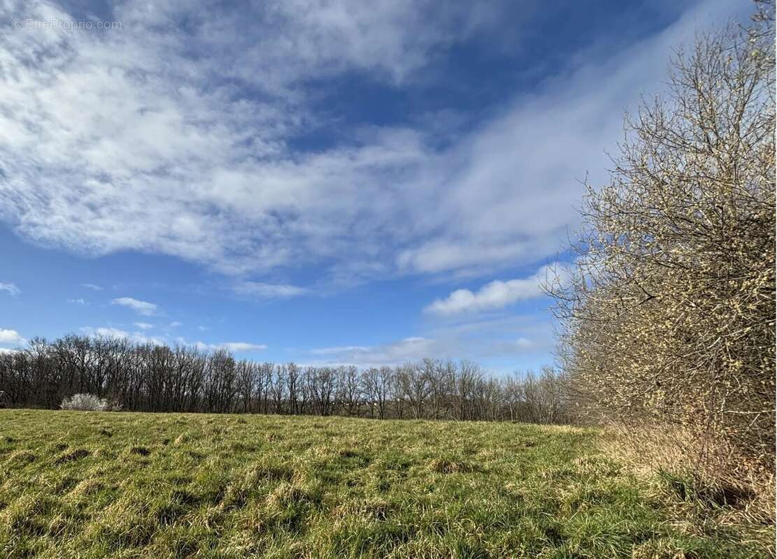 Terrain à POUYASTRUC