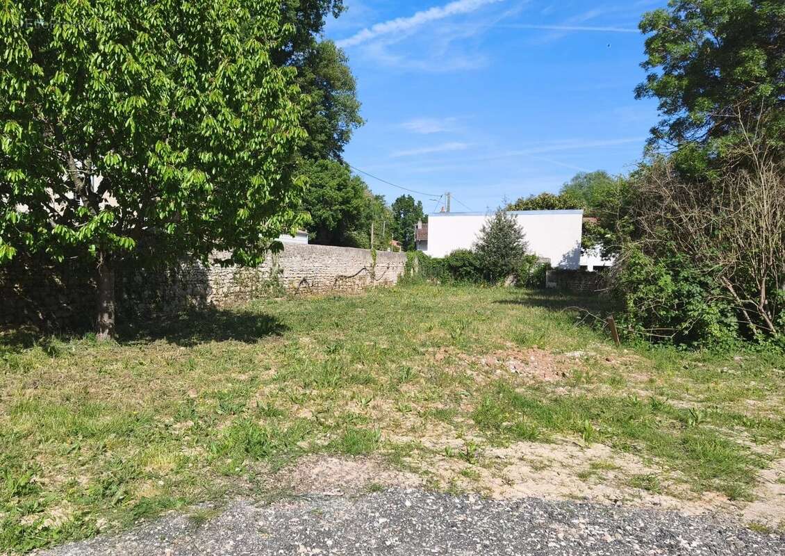 Terrain à MIGNE-AUXANCES