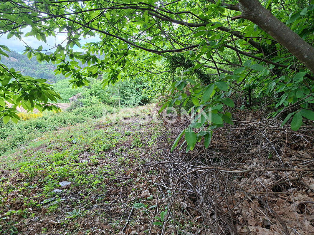 Terrain à LE COLLET-DE-DEZE