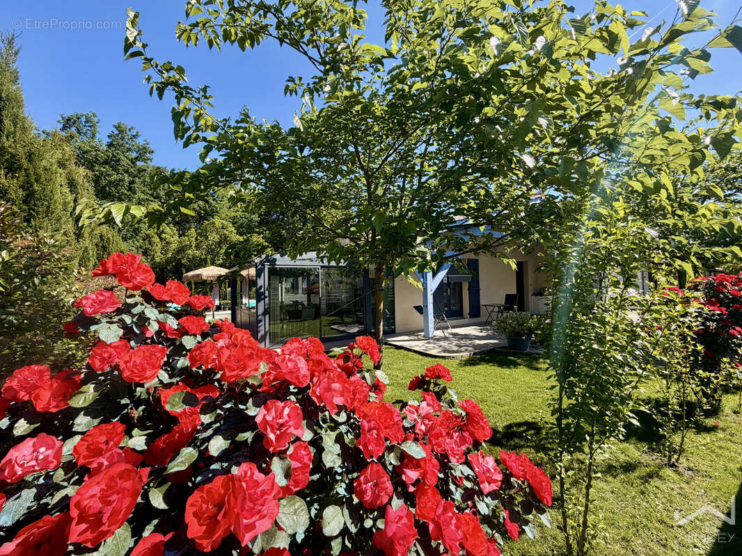 Maison à LA TESTE-DE-BUCH