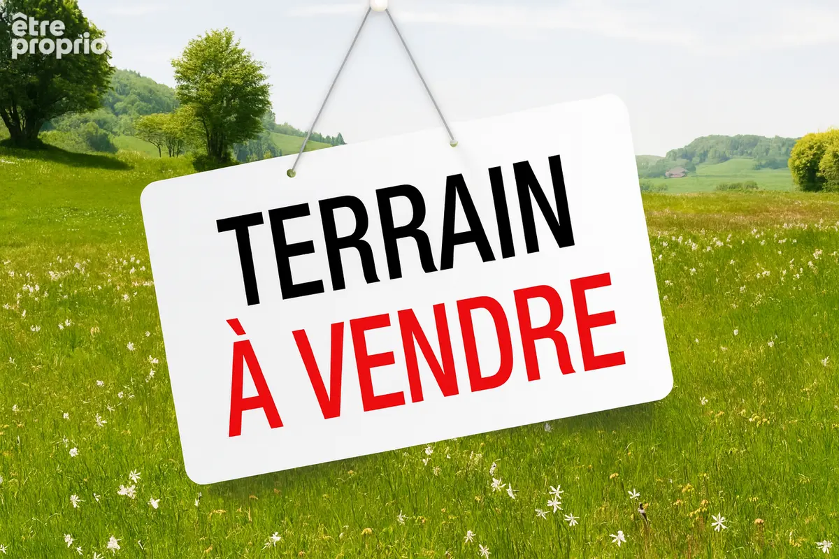 Chauve - centre - photo 2