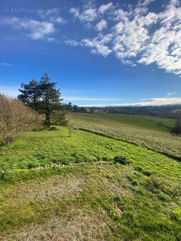 Maison à SALLESPISSE