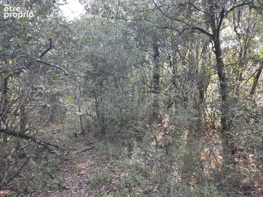 RARE À LA VENTE : Ensemble foncier de 1,6 Hectare en zone AOC ? Idéal Projet Viticole ou Agricolerrain Le Thoronet - photo 4