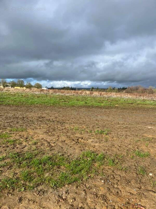 Terrain à CERISE
