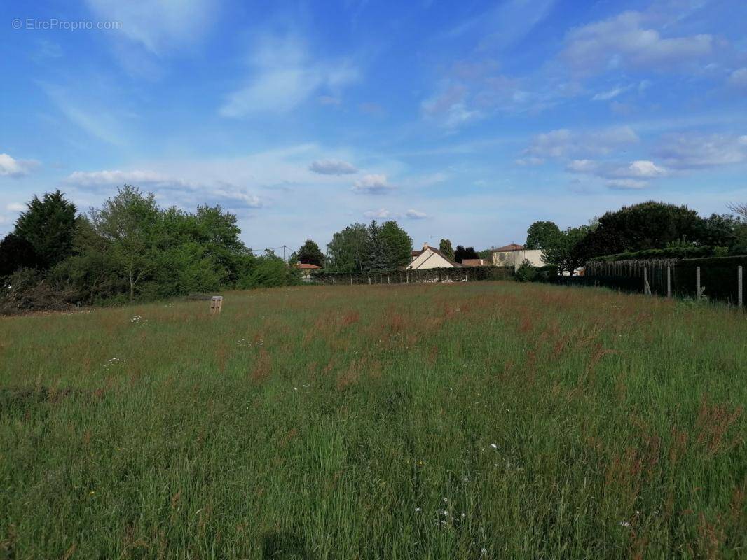 Terrain à QUINCAY