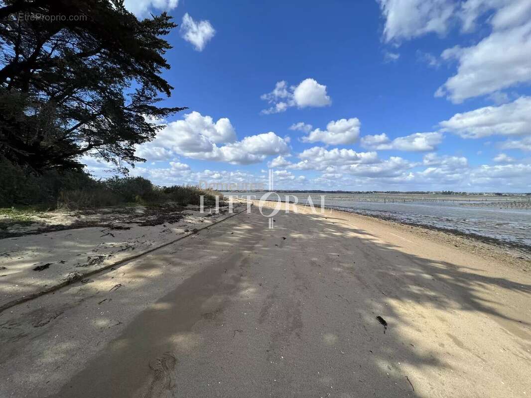 L’île d’Arz – Propriété unique en bord de mer - photo 3