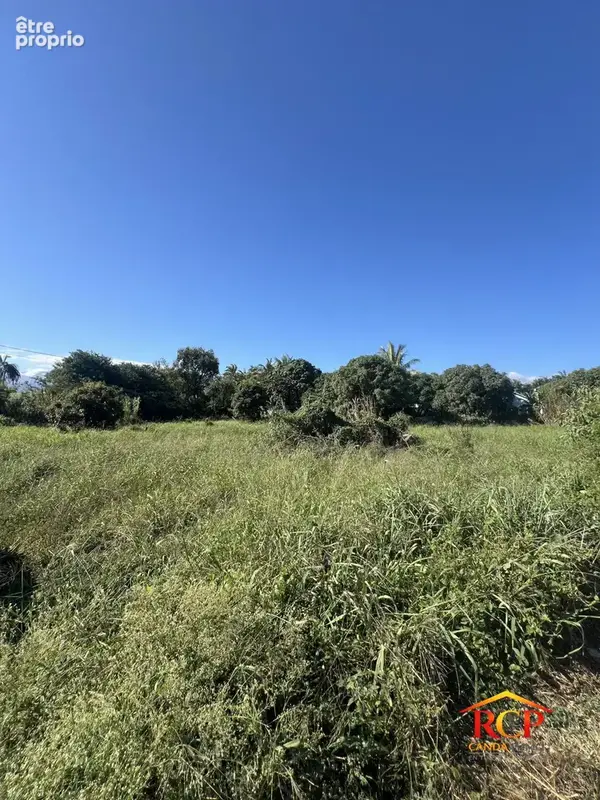 Terrain à SAINT-PIERRE