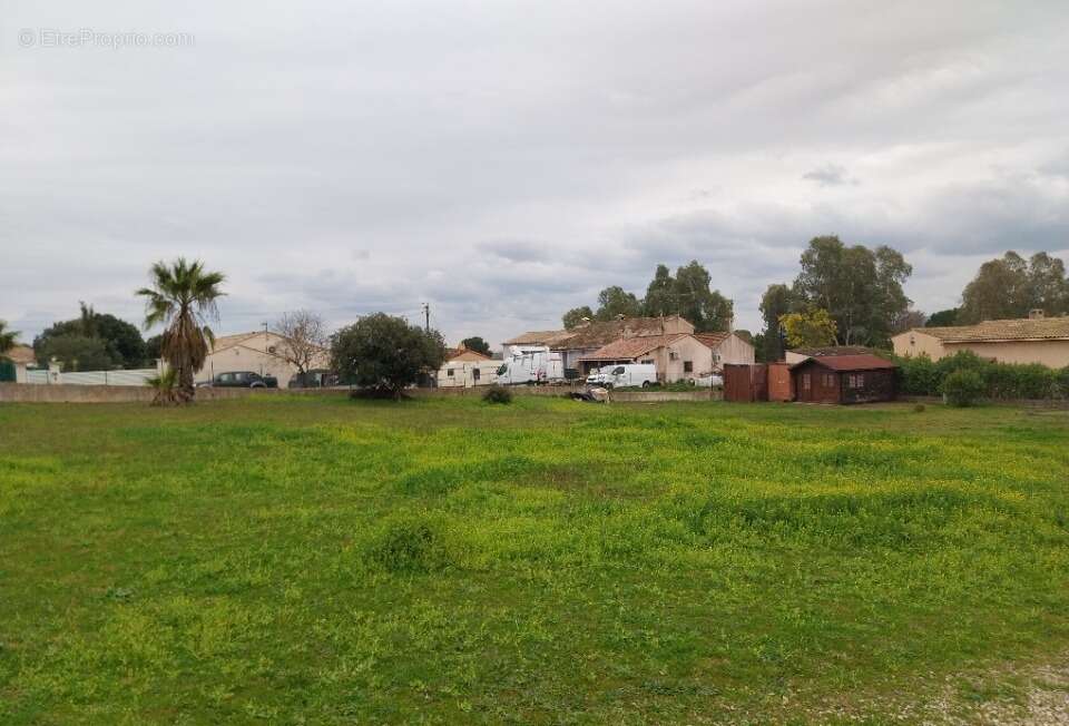 Terrain à ROQUEBRUNE-SUR-ARGENS
