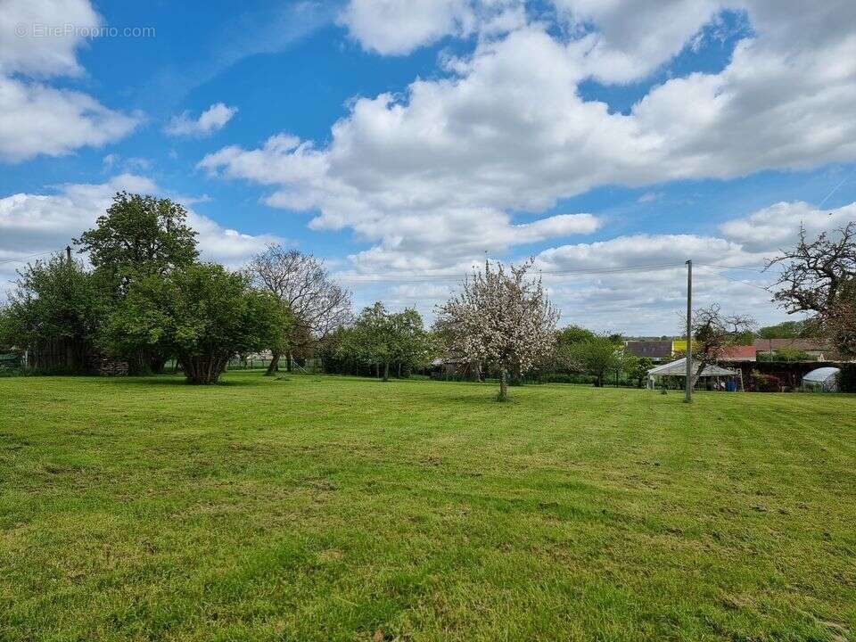 Terrain à COURTACON