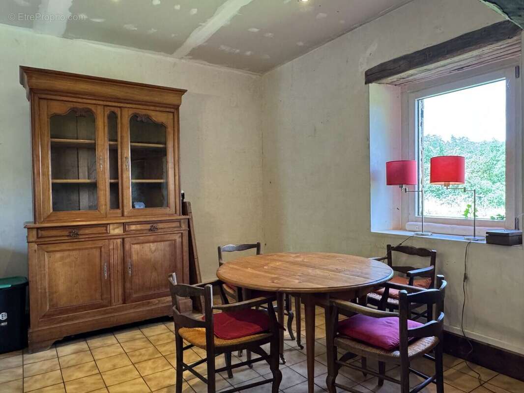 IMG3049 - Maison à SAINT-ANDRE-D'ALLAS