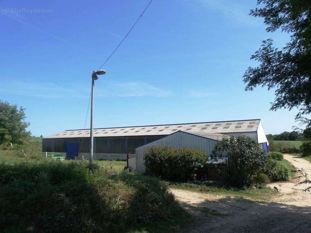 Exploitation agricole - photo 26