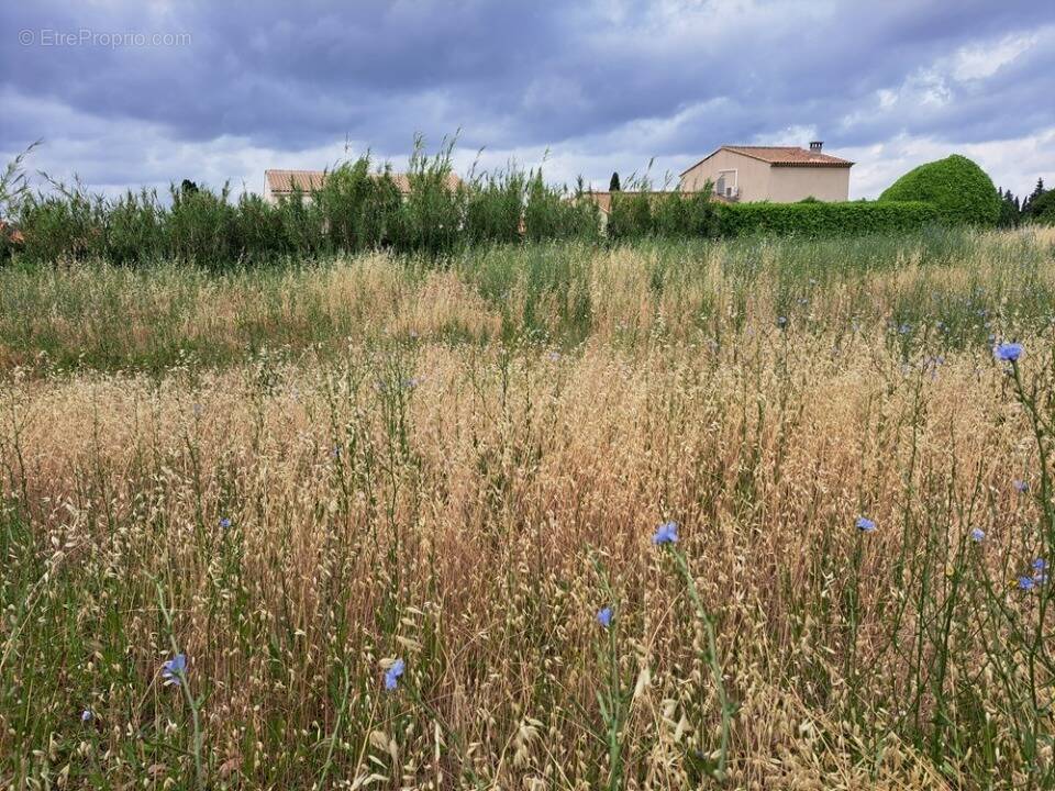 Terrain à LAMBESC