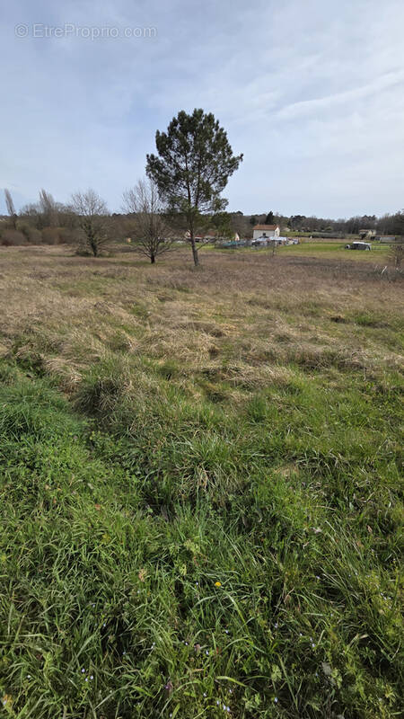 Terrain à ECHOURGNAC