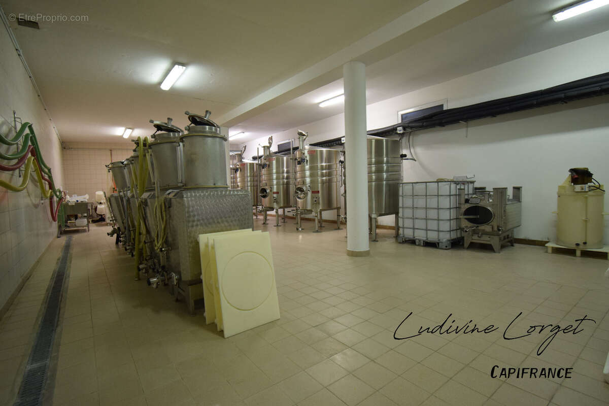 A vendre Local professionnel loué /bureau proche de EPERNAY (51)À vendre – Pressoir - cuverie -stockage -bureaux – 423m2 - photo 3