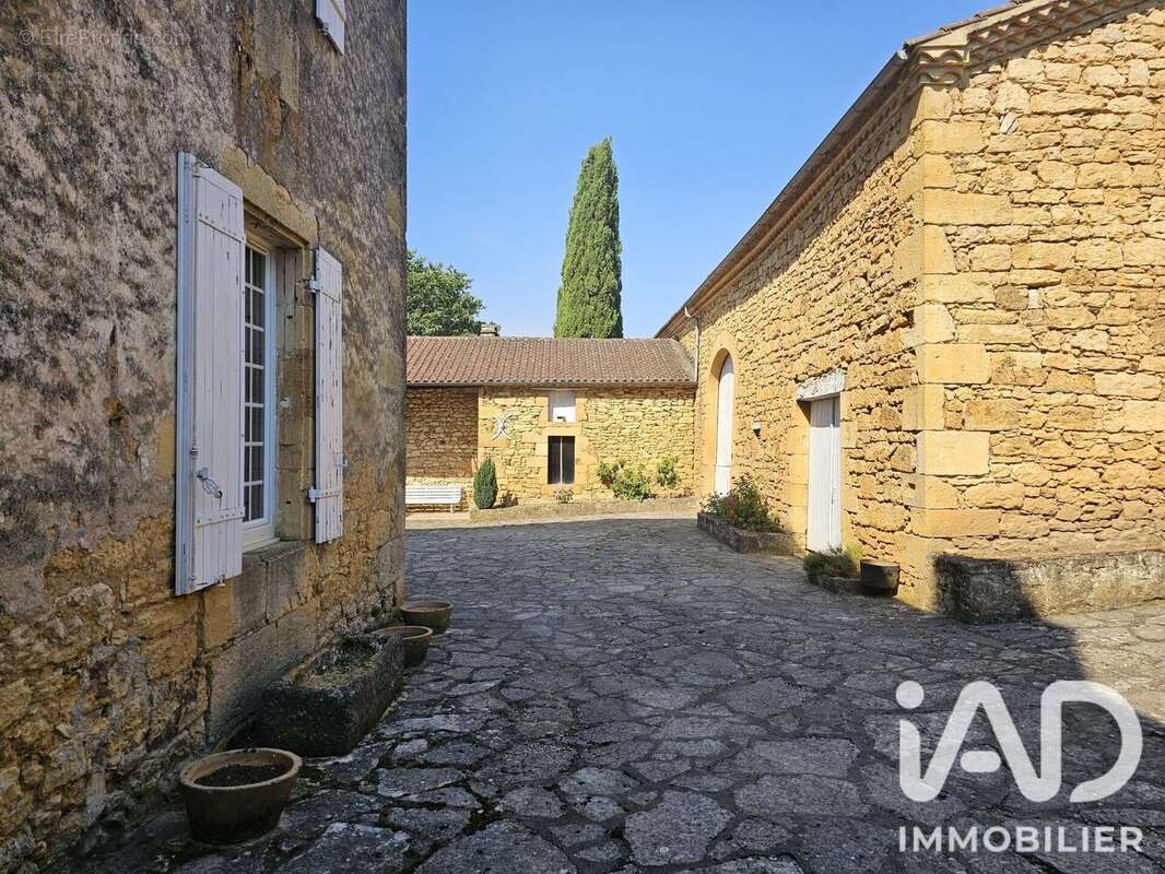 294 m² à Condezaygues  - photo 7