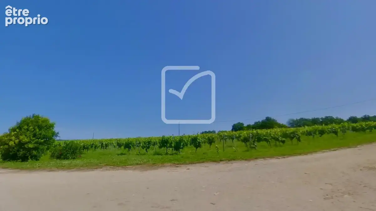 domaine viticole confidentiel au cœur de l’AOP Cahors, avec une surface totale de 18 hectares - photo 13