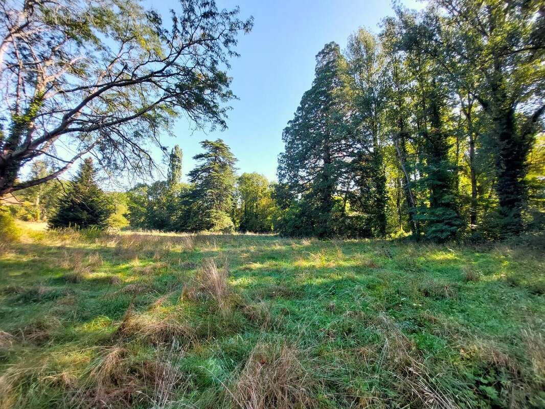 arbres - Maison à AURIGNAC